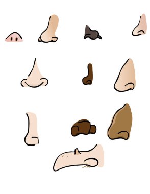 Burun şekillerinin çeşitli karalamaları 
