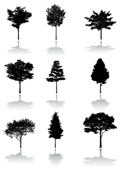 Wektor Ilustracja Drzewa Zestaw Kolekcji — Wektor stockowy