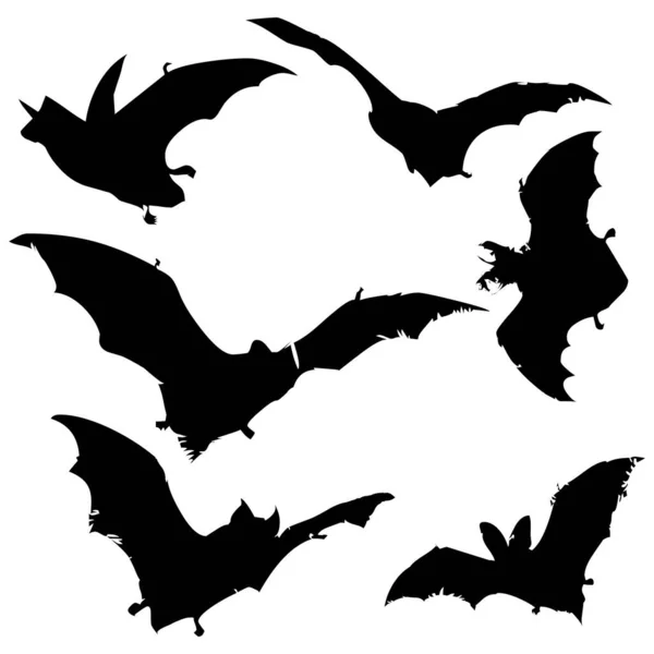 Stock vector set of bats silhouettes isolated on white background.