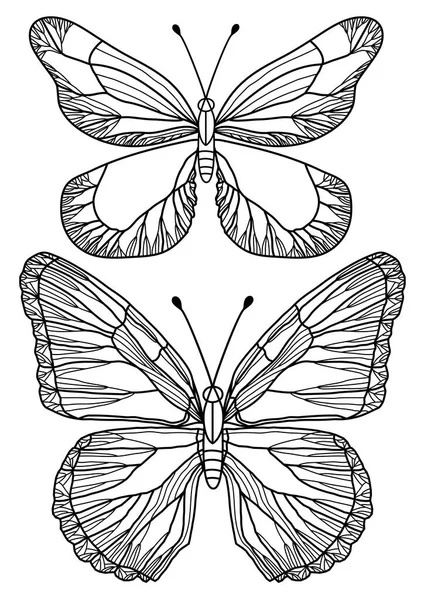 Sada Ručně Kreslené Motýlů Vektorová Ilustrace — Stockový vektor