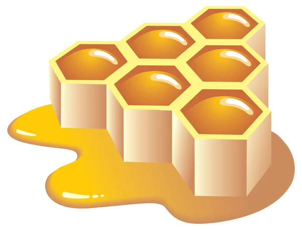 Vektor Honeycombs Vit Bakgrund — Stock vektor