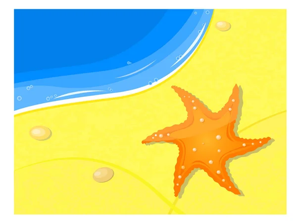 Морская Звезда Пляже — стоковый вектор