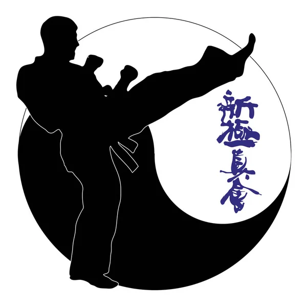 Silueta Karate Ilustración Vectorial — Archivo Imágenes Vectoriales