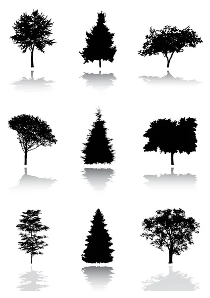 Vektorsilhouette Von Bäumen — Stockvektor
