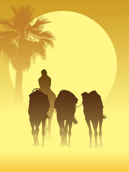 silhouettes of camels in desert