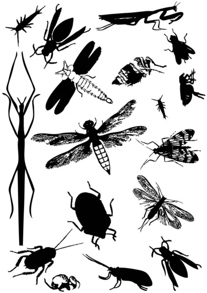 Silhouette Noire Insectes — Image vectorielle