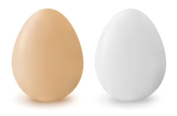 白い背景に白い卵 — ストックベクタ