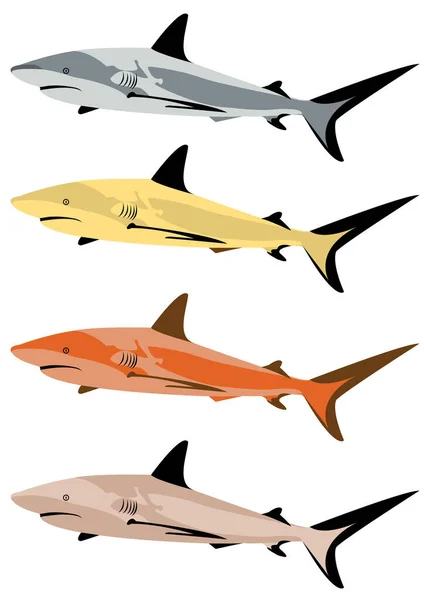 Jeu Vectoriel Requins Design Simple — Image vectorielle