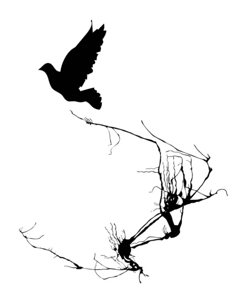 Sfondo Vettoriale Bianco Nero Uccelli — Vettoriale Stock