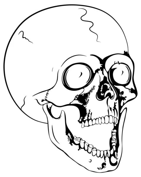 Illustrazione Vettoriale Del Cranio Umano Disegno Semplice Illustrazione Vettoriale — Vettoriale Stock