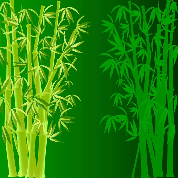 Set Groene Bamboe Silhouetten — Stockvector