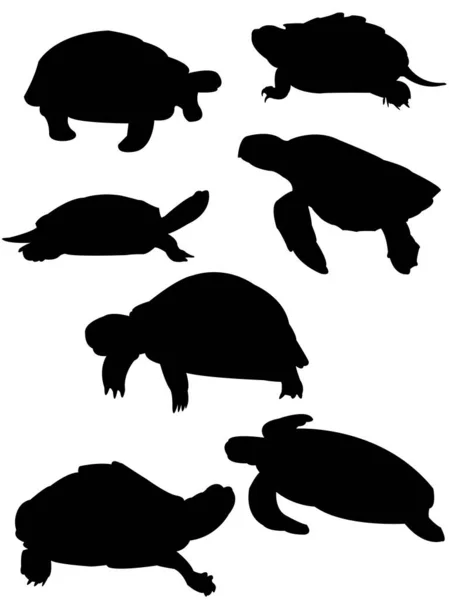 Set Van Vectorsilhouet Zwarte Schildpadden Een Witte Achtergrond — Stockvector