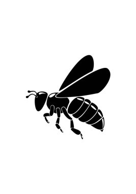 Beyaz arkaplandaki bir arının vektör çizimi.
