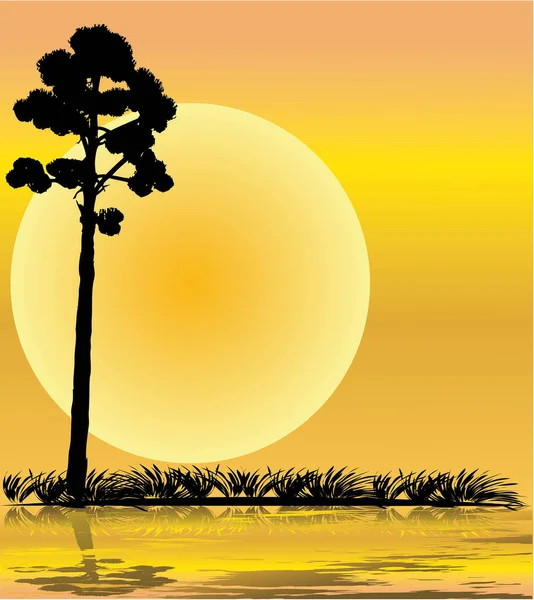 Silhouette Eines Baumes Und Hintergrund Des Sonnenuntergangs — Stockvektor