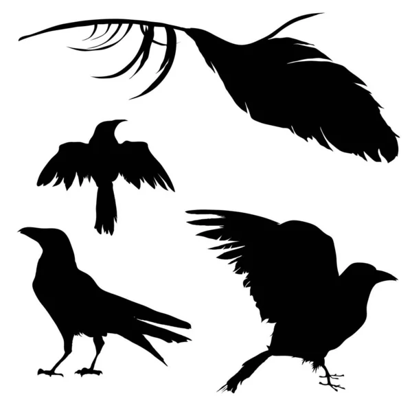 Schwarze Silhouette Von Vögeln Vektorillustration — Stockvektor