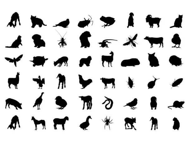 Векторные Очертания Силуэтов Животных Контурное Рисование — стоковый вектор