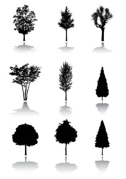 Trees Set Vector Illustration — Stock Vector