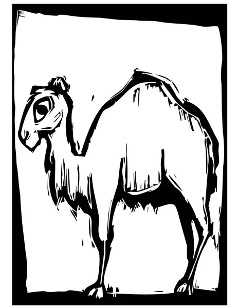 Esboço Camelo Deserto —  Vetores de Stock