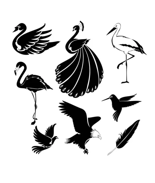 Uppsättning Svarta Silhuetter Fåglar — Stock vektor