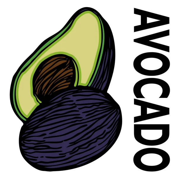 Avocadofrucht Ikone Cartoon Stil — Stockvektor