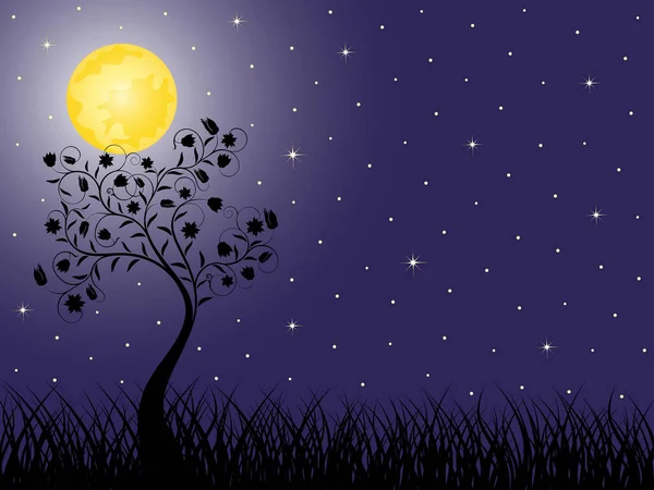 Illustration Une Lune Dans Ciel Illustration Vectorielle — Image vectorielle