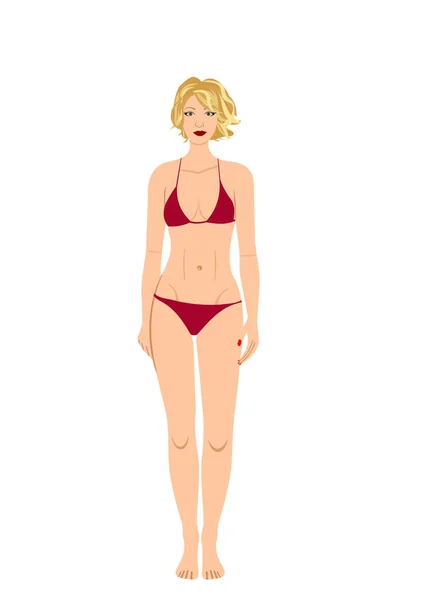 Donna Con Bikini Sfondo Bianco Parte Del Corpo Vettore — Vettoriale Stock