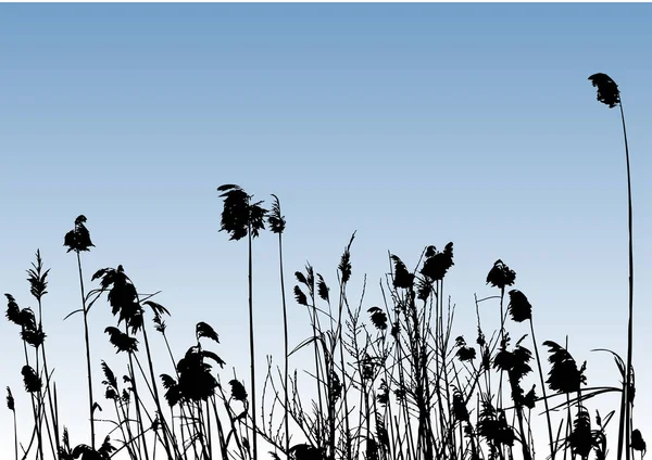 Silhouette Grass Sky Background Vector Illustration Simple Design — Stock Vector