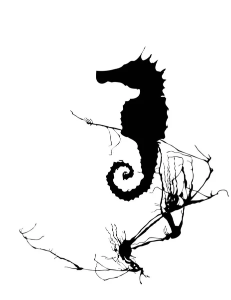 Silhouette Noire Hippocampe Illustration Vectorielle — Image vectorielle
