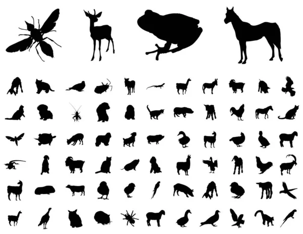 Conjunto Vectorial Siluetas Animales Salvajes Ilustración Vectorial — Archivo Imágenes Vectoriales