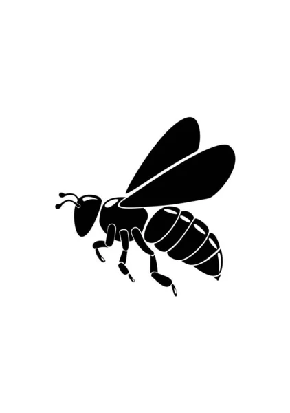 Vektorová Ilustrace Včely Bílém Pozadí — Stockový vektor