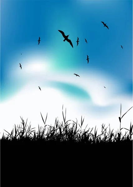 Vogelschar Auf Himmelshintergrund — Stockvektor