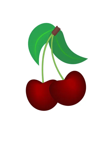 Červená Cherry Vektorová Ilustrace — Stockový vektor