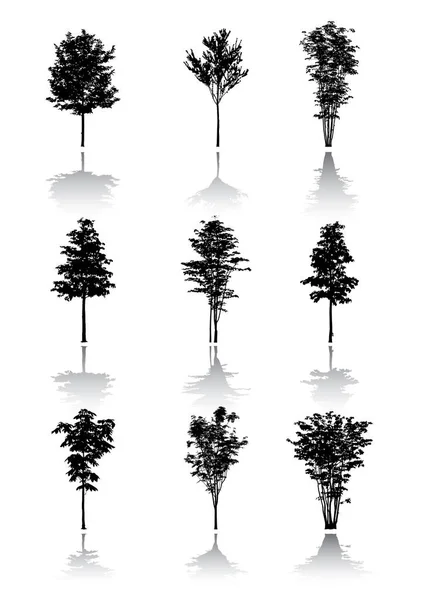 Ensemble Silhouettes Arbres Noirs Illustration Vectorielle — Image vectorielle