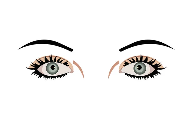 Kvinnliga Ögon Vektor Illustration — Stock vektor