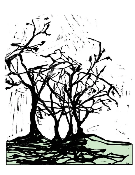 Sketch Bare Trees Vector Illustration — Stock Vector