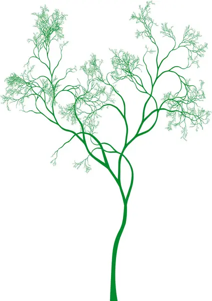 Ilustração Vetor Árvore Verde —  Vetores de Stock