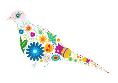 kuş vektör çizim tasarım