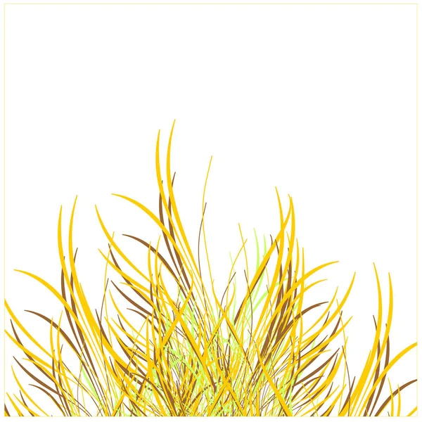 Guld Gräs Isolerad Vit Bakgrund — Stock vektor