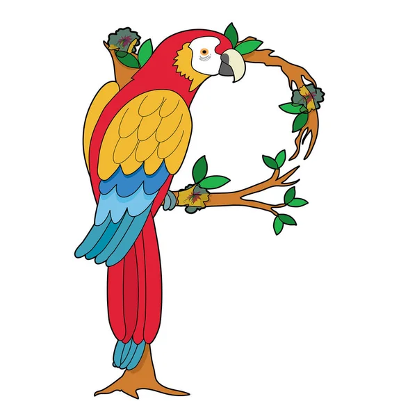 かわいいオウムパロット鳥漫画ベクターイラストグラフィックデザイン — ストックベクタ