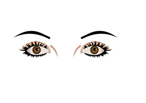 Векторная Иллюстрация Красивых Глаз — стоковый вектор