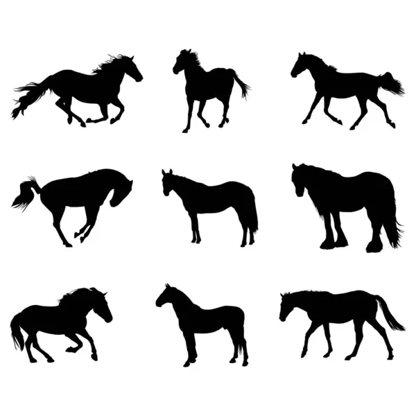 Vector Silhouettes Horses White Background — Stock Vector