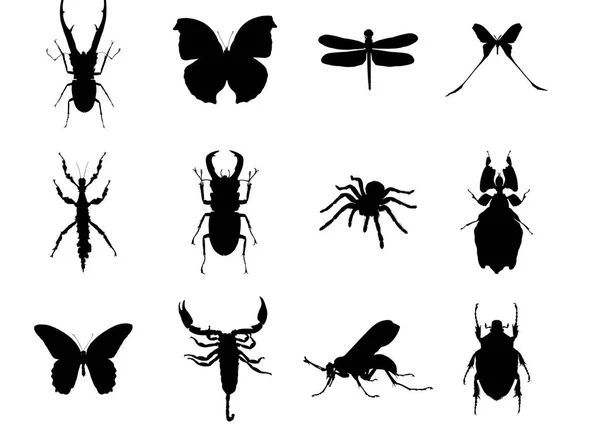 Reihe Von Insektensymbolen Vektor Illustration — Stockvektor