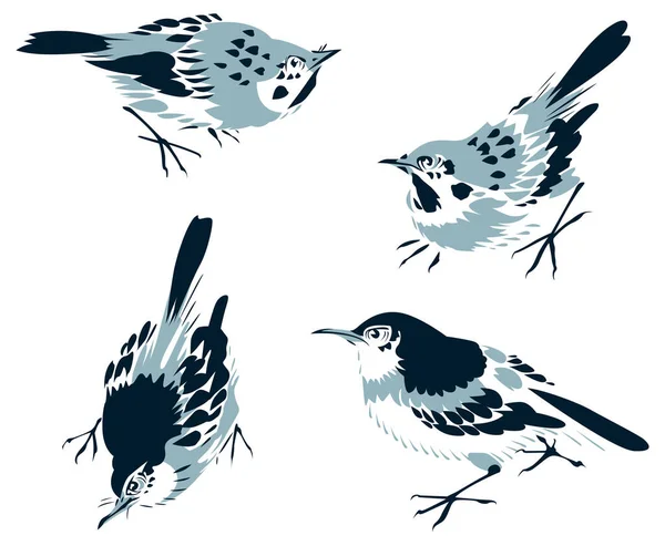 Uppsättning Svarta Fåglar Vektor Illustration — Stock vektor