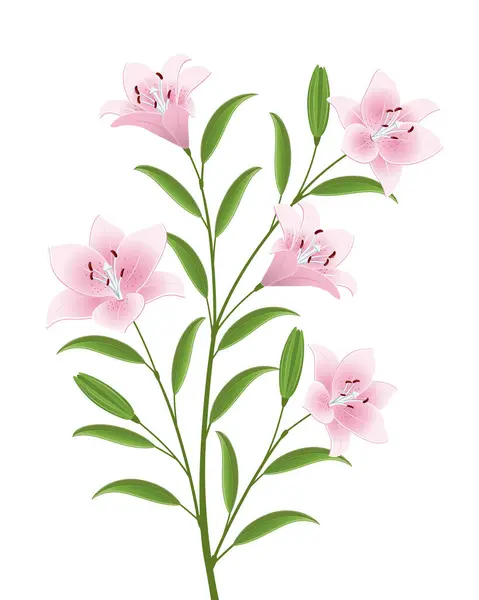 分枝与花朵和叶子隔离图标 — 图库矢量图片