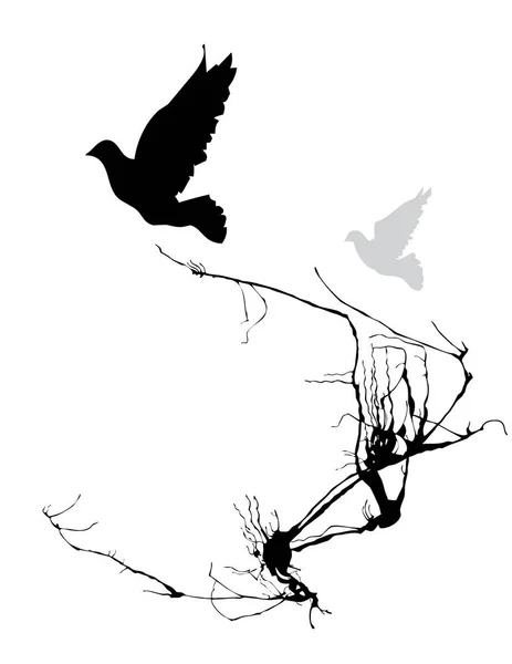 Silhouette Einer Taube Und Eines Vogels — Stockvektor
