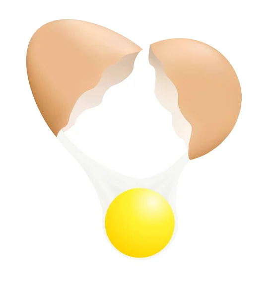 壊れた卵のイラスト — ストックベクタ