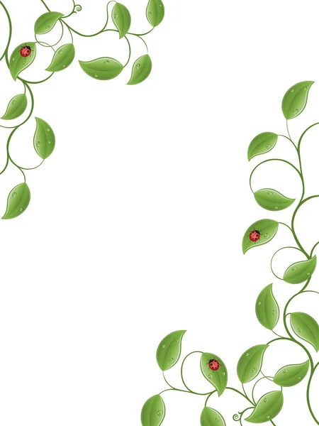 Green Leaves Branches Vector Illustration — Stock Vector