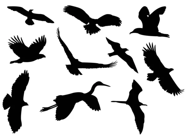 Silhuetas Aves Voadoras Sobre Fundo Branco — Vetor de Stock