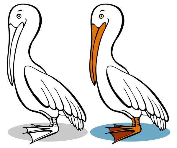 Ilustração Vetorial Pássaro Pelicano Desenhos Animados — Vetor de Stock