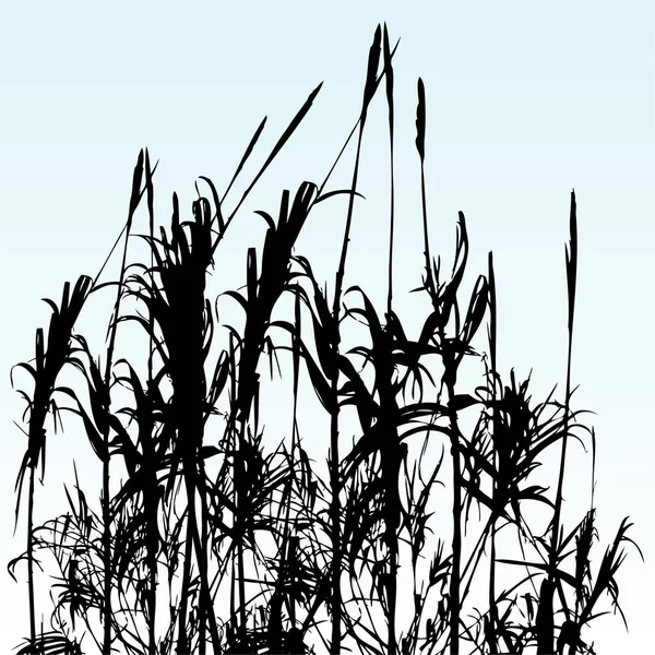 植物の背景のベクトルイラスト — ストックベクタ